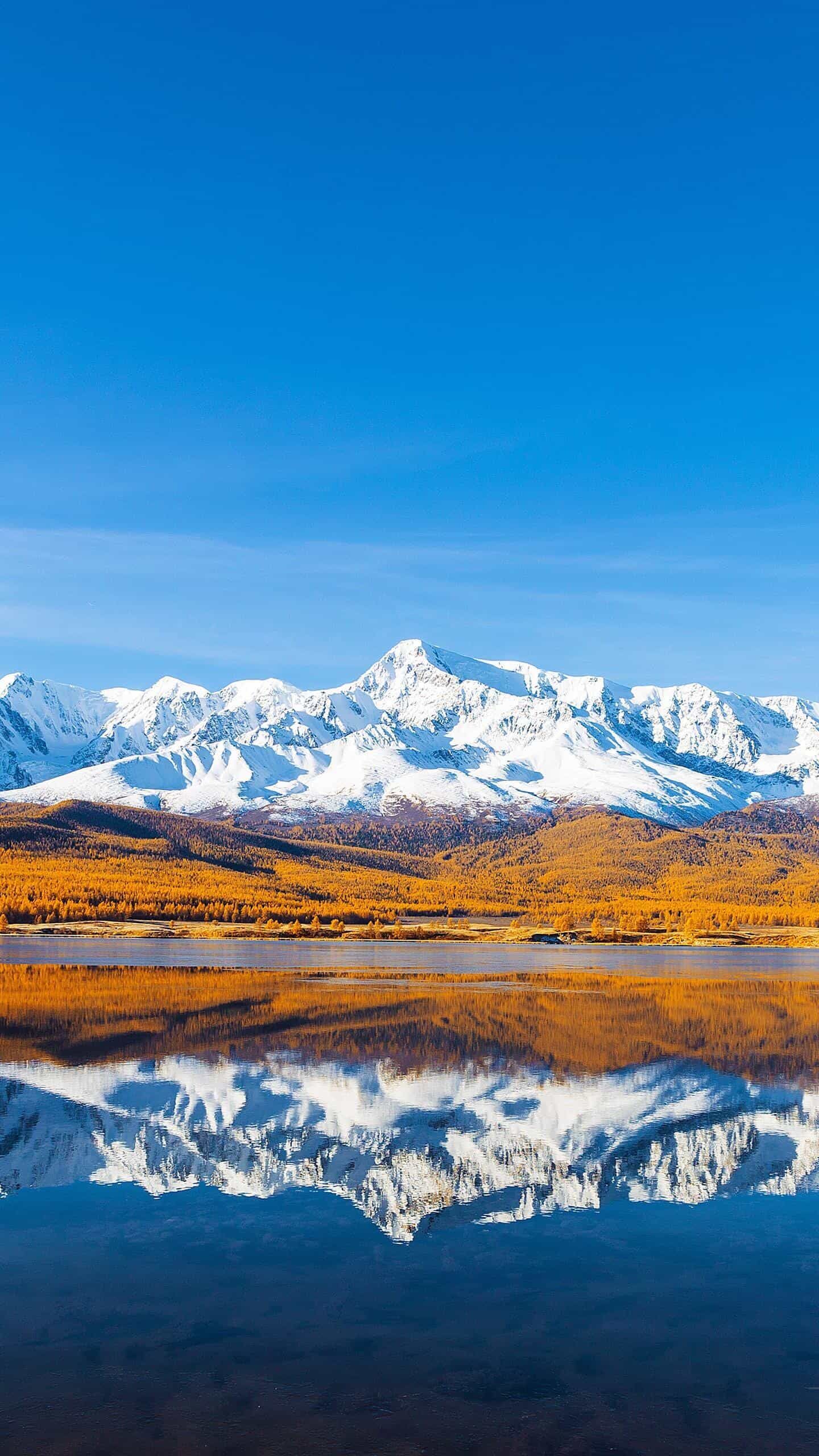 西藏山南扎囊县高质量发展招商引资暨文旅推介会签约金额达3.8亿元 ｜ 4987铁算算盘正版资料